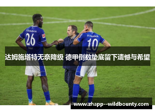 达姆施塔特无奈降级 德甲倒数垫底留下遗憾与希望 达姆施塔特无奈降级 德甲倒数垫底留下遗憾与希望